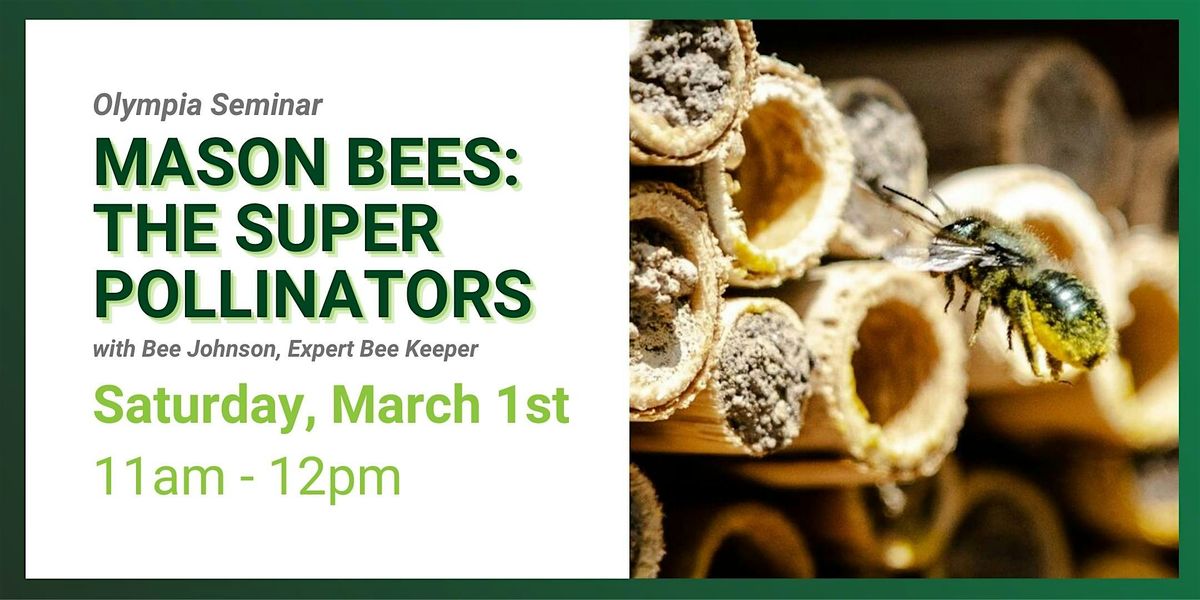 Mason Bees: The Super Pollinator, Olympia Seminar