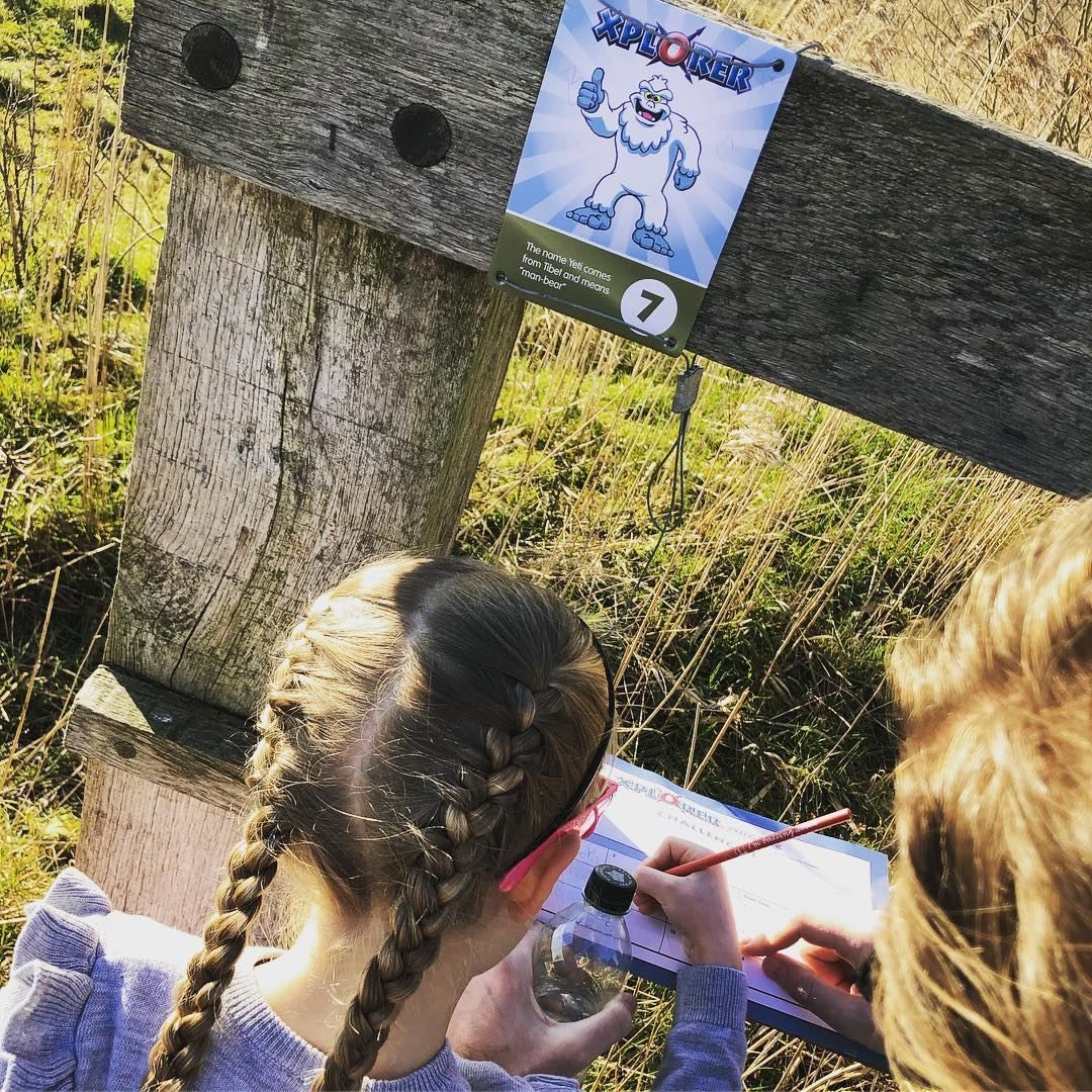 Winter Xplorer at Brockholes