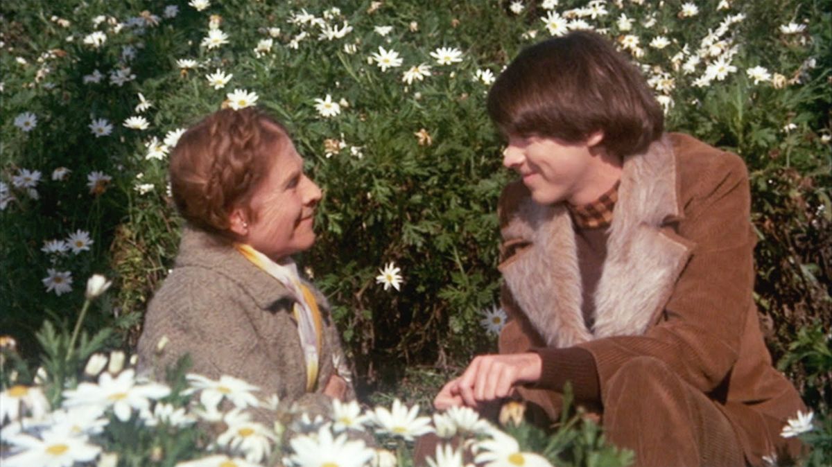 Harold and Maude