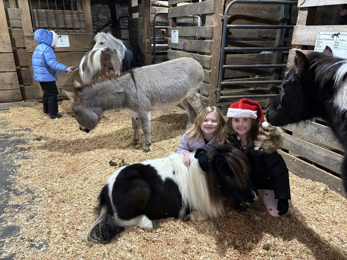 Pony Preschool Winter-Minis