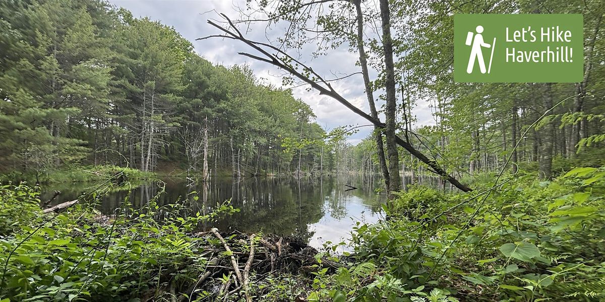Let's Hike Haverhill: Brandy Brow Forest - Myron's Road Trailhead