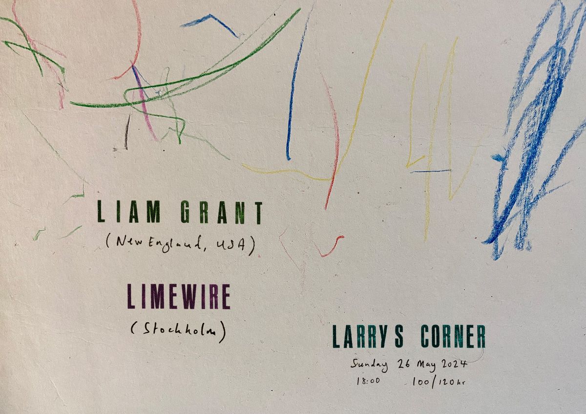 Liam Grant (USA) + Limewire (Sthlm) @ Larry's Corner