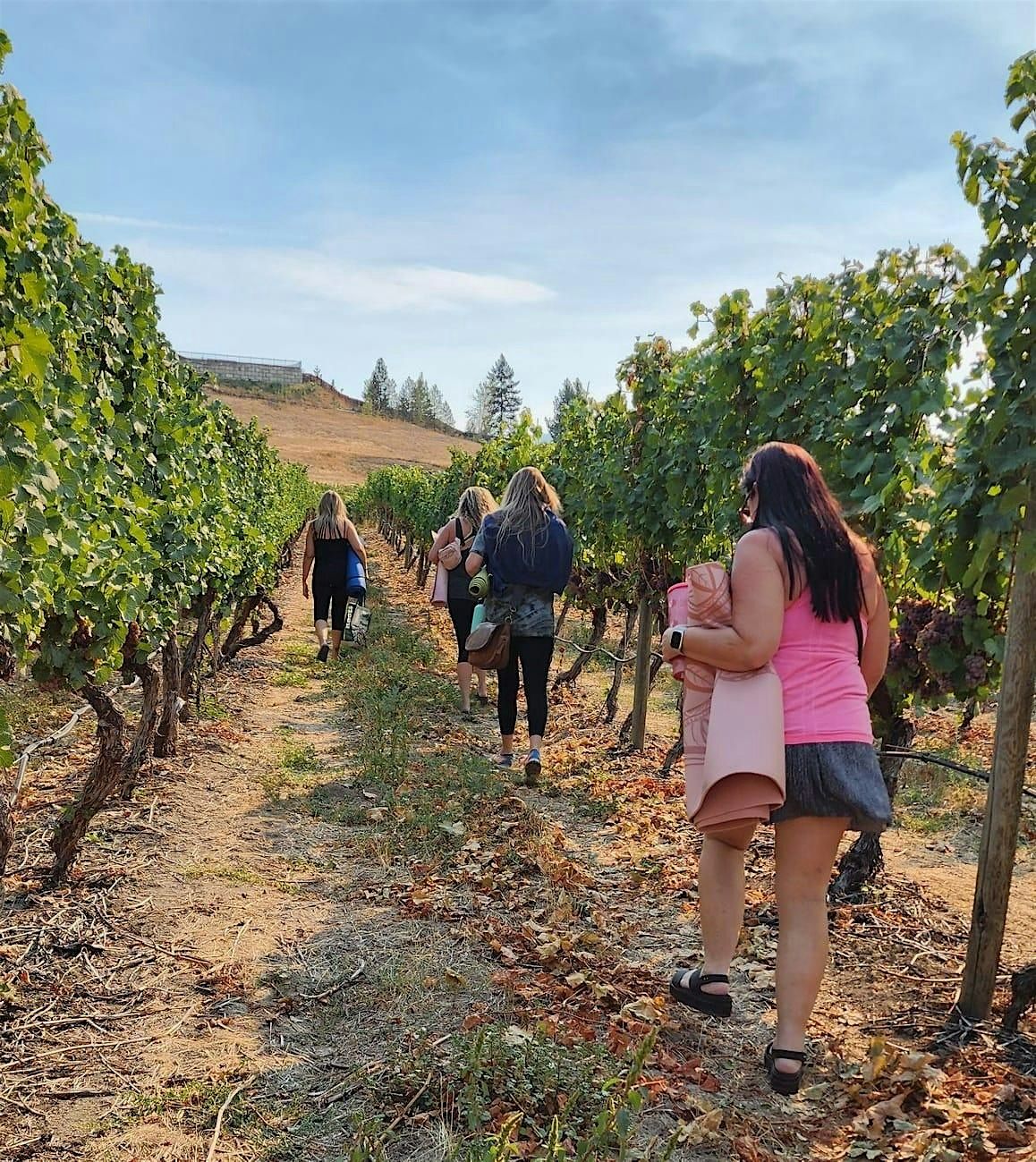 Vines, Views & Vinyasa At The View Winery!
