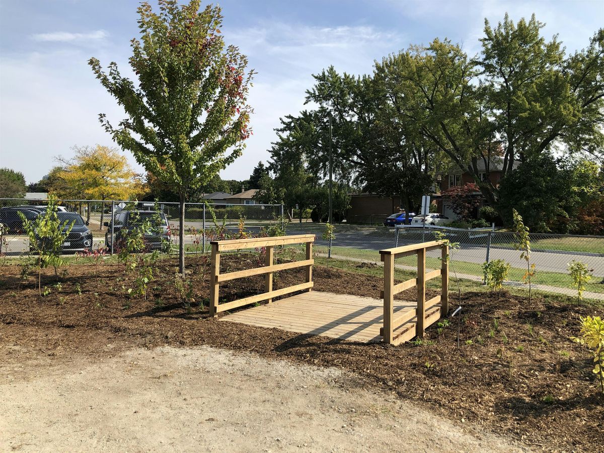 Rain Garden Maintenance
