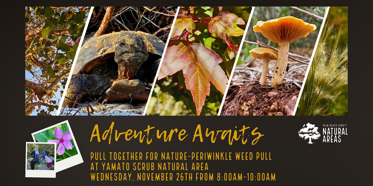 Adventure Awaits - Pull Together for Nature W**d Pull @ Yamato Scrub