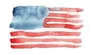 U.S. Citizenship Test Preparation Series