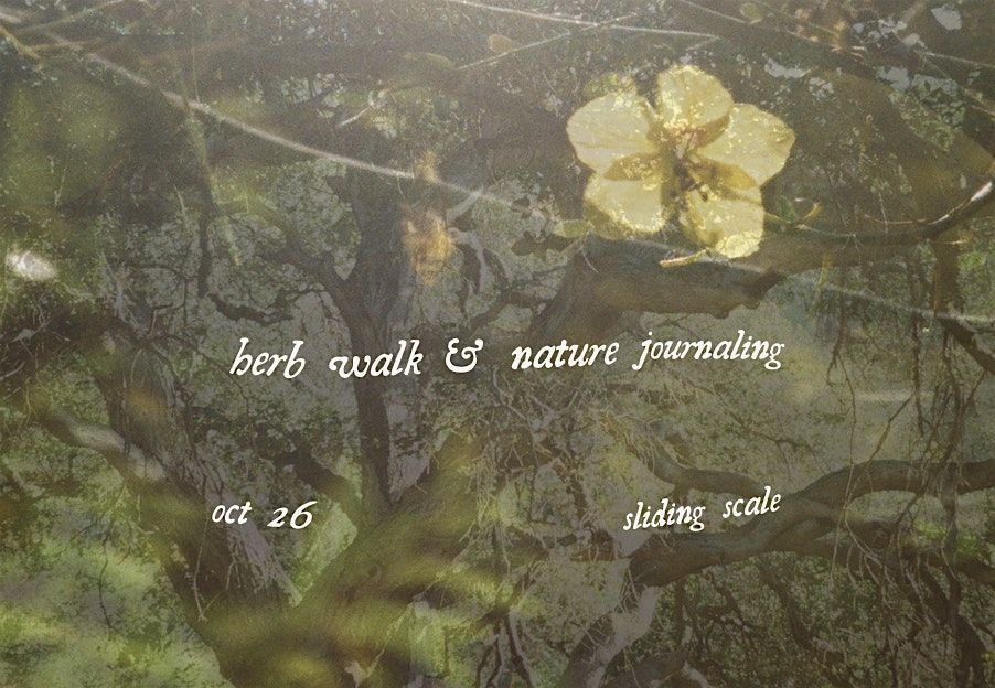 Plantcestor Walk & Nature Journaling