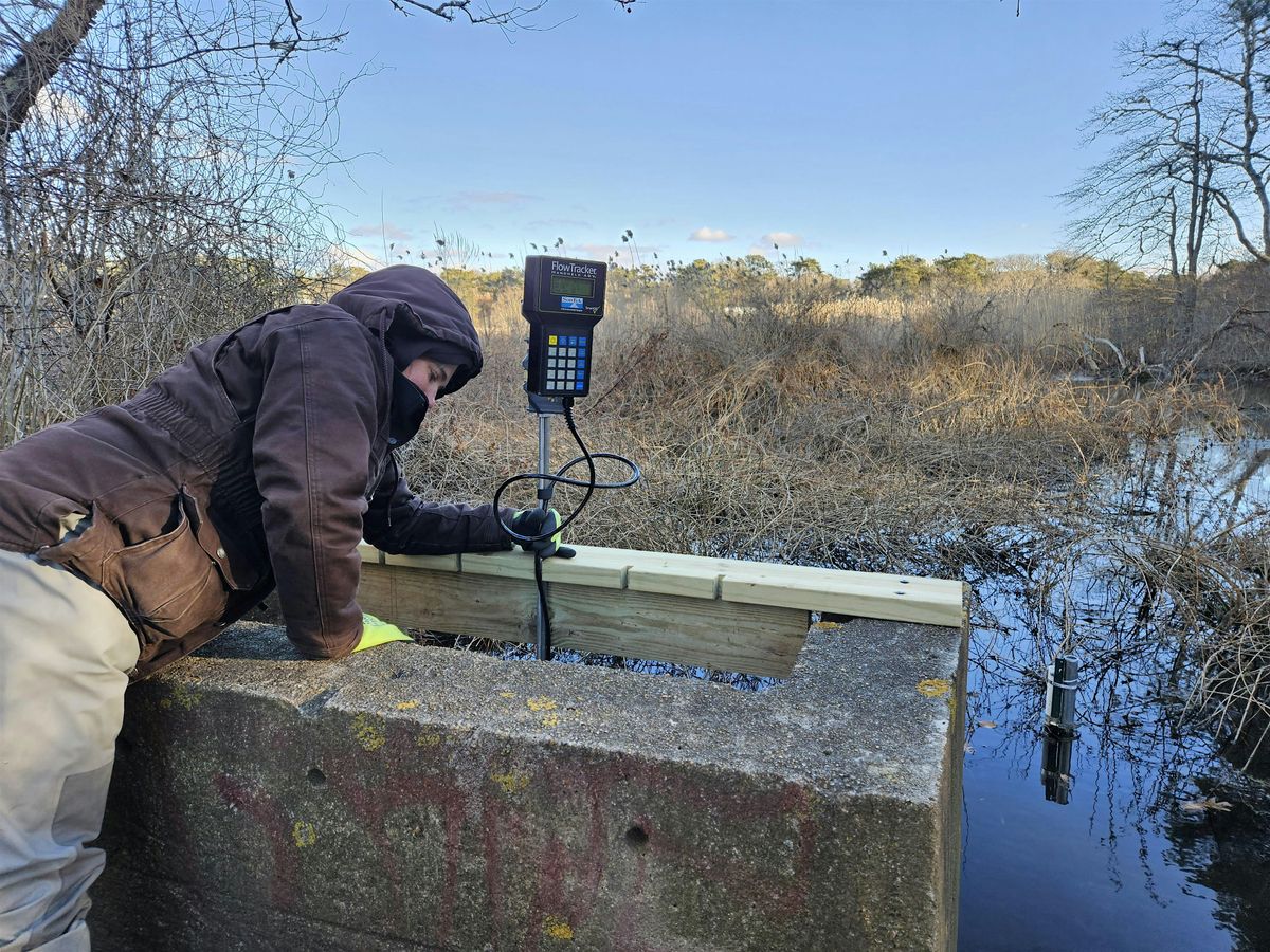 It\u2019s the Excess Nutrients! Coastal Water Quality Trends and Future Issues.