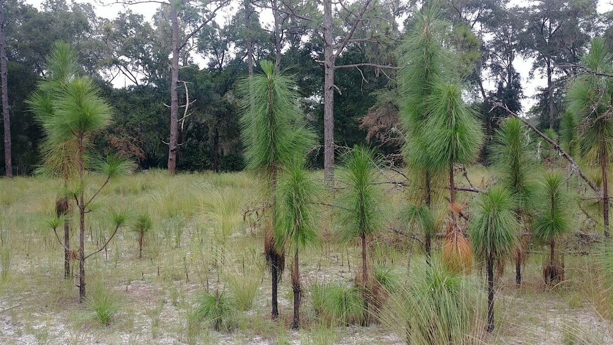 Natural Areas W**d Management Pesticide Safety Course