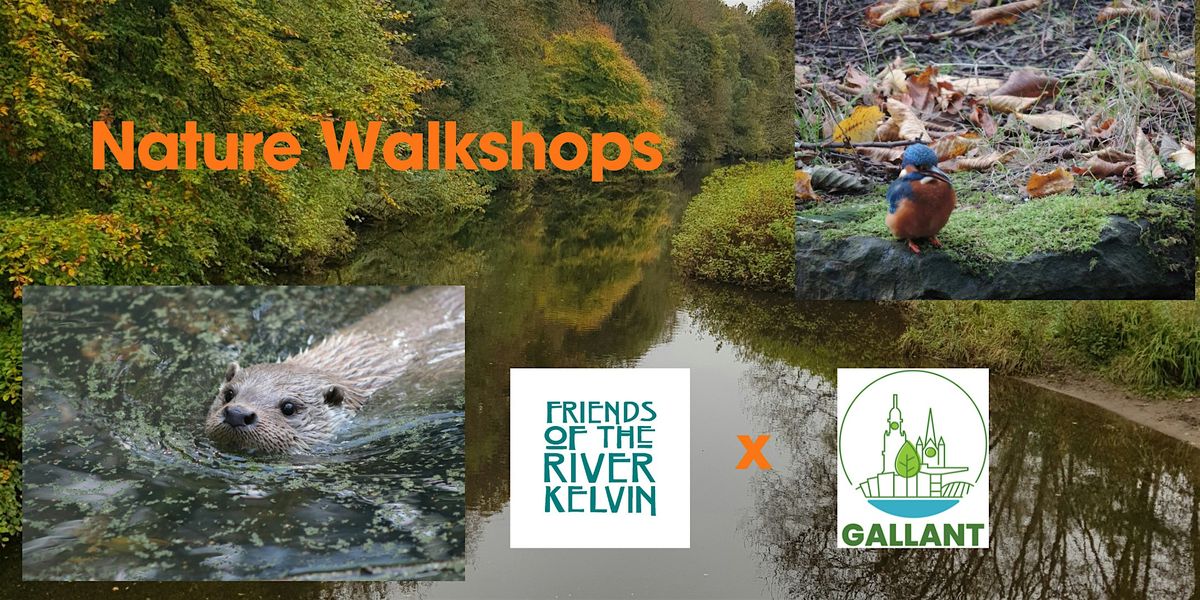 Nature Walk - Otters and Kingfishers with FORK and GALLANT