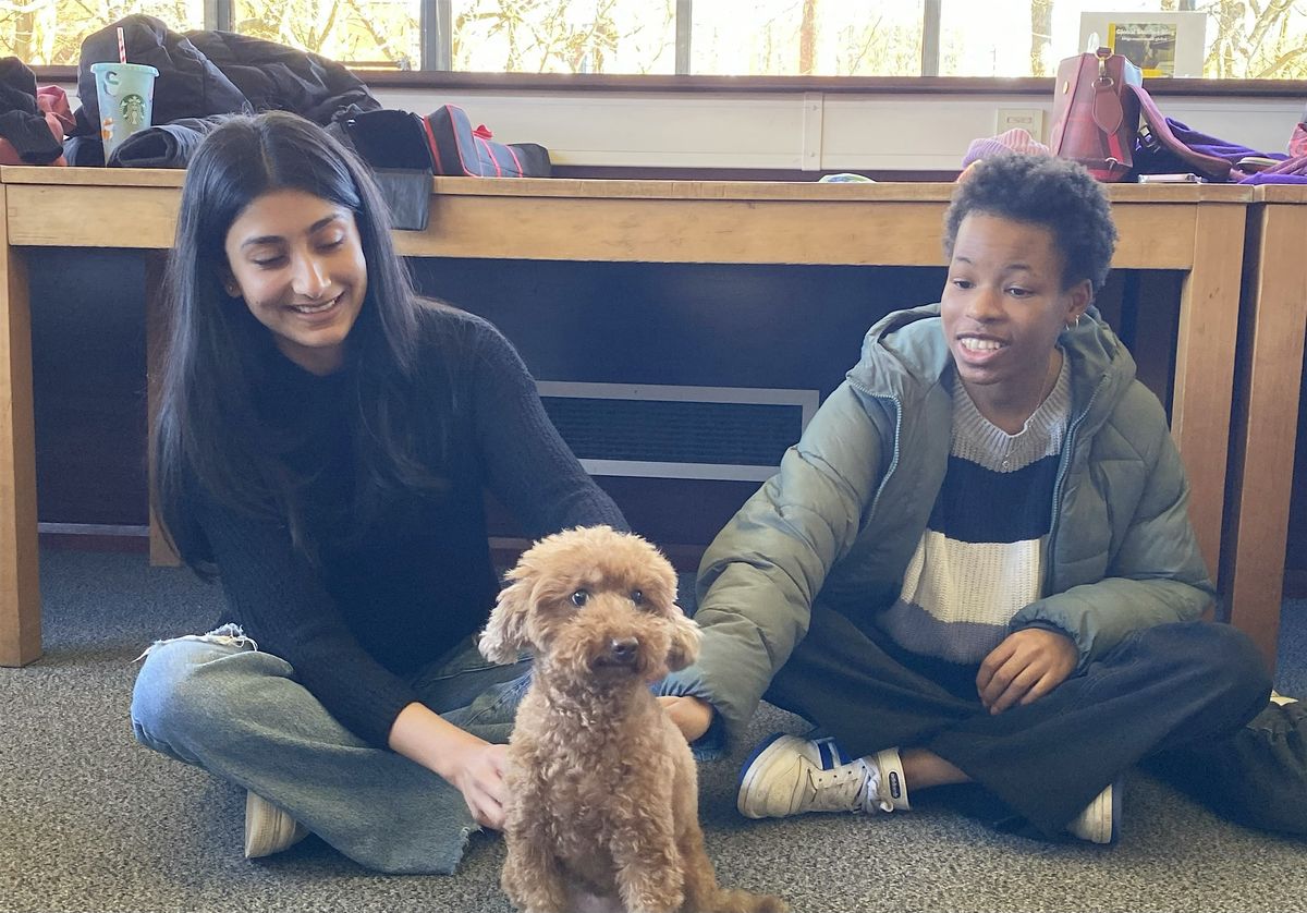 Canine Cuddles - Social Sciences Arts C333 (26\/11\/25)