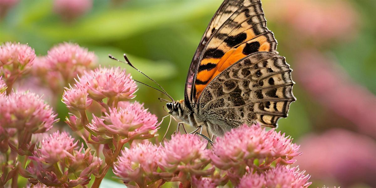 Butterfly Puddlers Workshop at The Daffodil Room