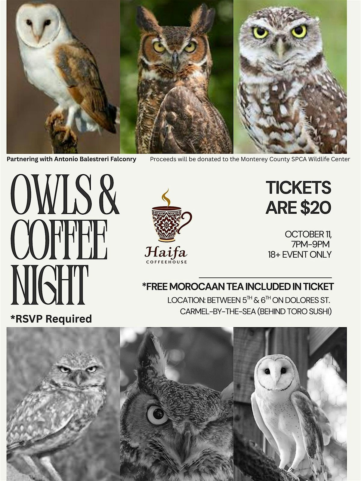 Owl & Coffee Night \u2013 An Educational Evening with Local Owls