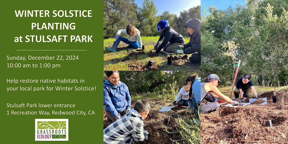 Volunteer in Redwood City: Winter Solstice Planting  at Stulsaft Park