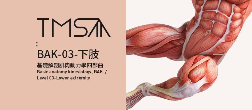 \u57fa\u790e\u89e3\u5256\u808c\u8089\u52d5\u529b\u5b78(Basic anatomy kinesiology, BAK) \u56db\u90e8\u66f2\u4e00 \u4e0b\u80a2\u53f0\u5317\u5834