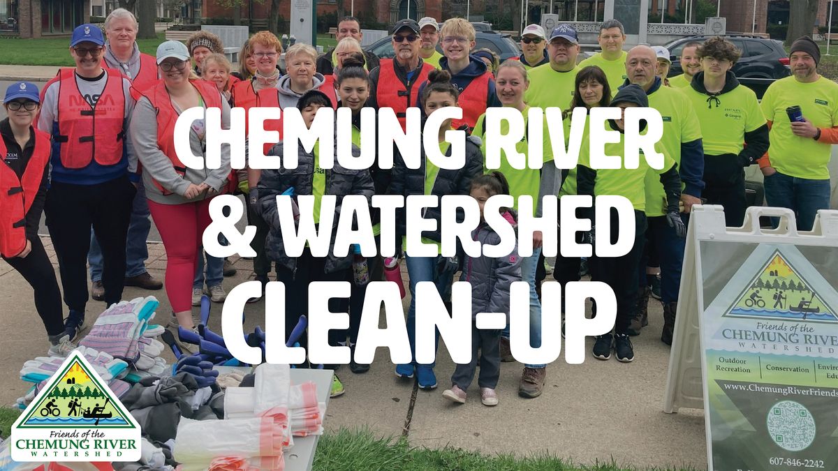 Chemung River & Watershed Clean-up - Location TBD