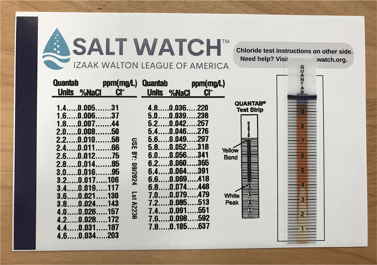 Salt Watch Snapshot