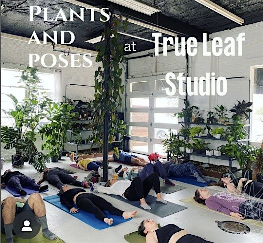 Plants and Poses- A Yoga Class in A Plant Shop