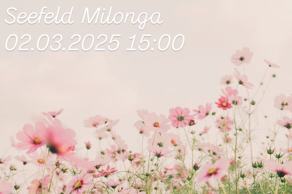 Milonga im Seefeld 