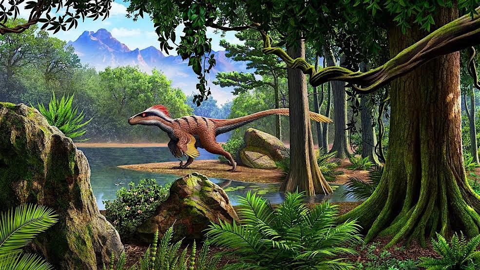 Science Series: Dinosaurs