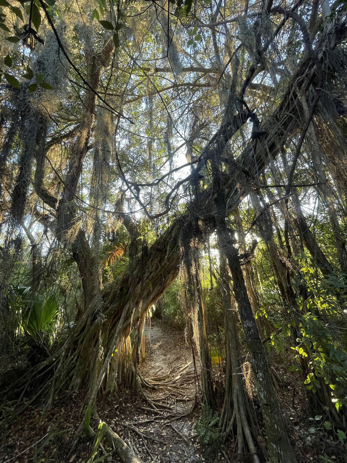 Creepy Creatures: Halloween Nature Walk