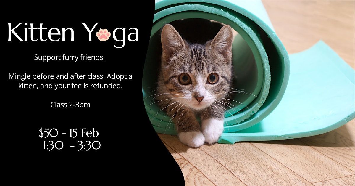 Kitten Yoga: An Adoption Event