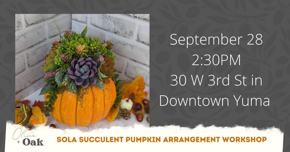 Sola Succulent Pumpkin Arrangement Workshop @ Olive + Oak