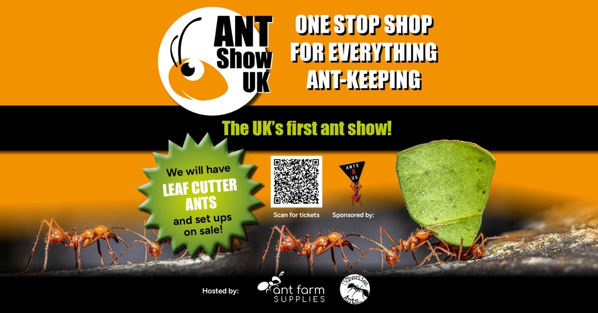 Ant Show UK