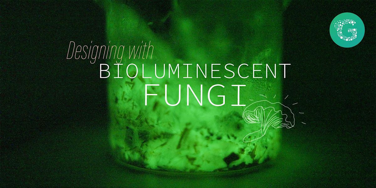 Designing with Bioluminescent Fungi