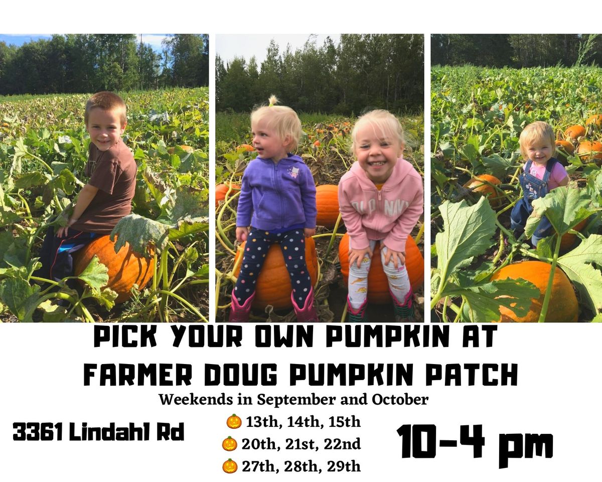 Pick Your Own Pumpkin at Farmer Doug's - week 3