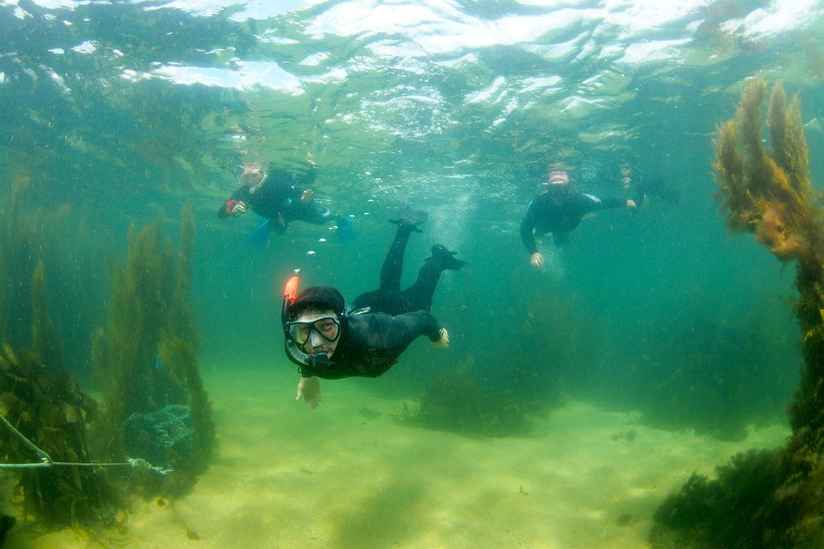 Marine Recorders Evening 2025