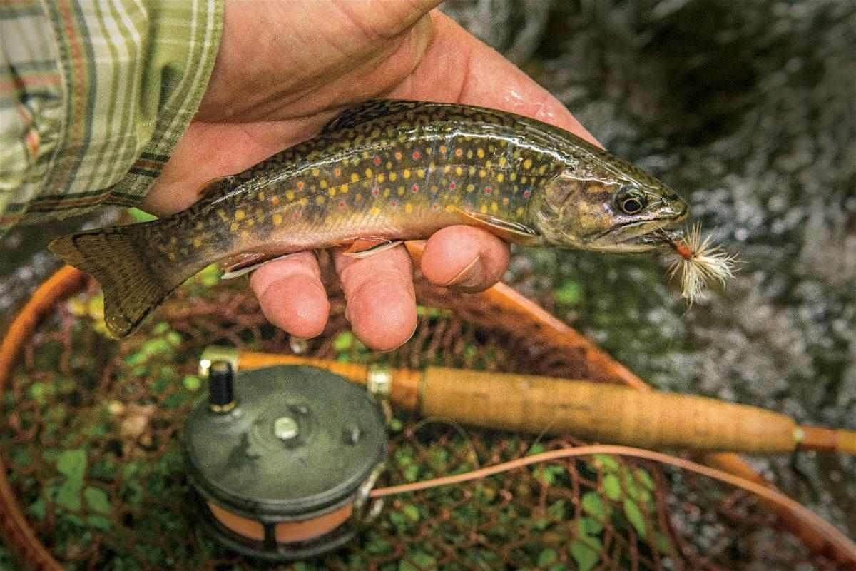 Adult Fly Fishing 101
