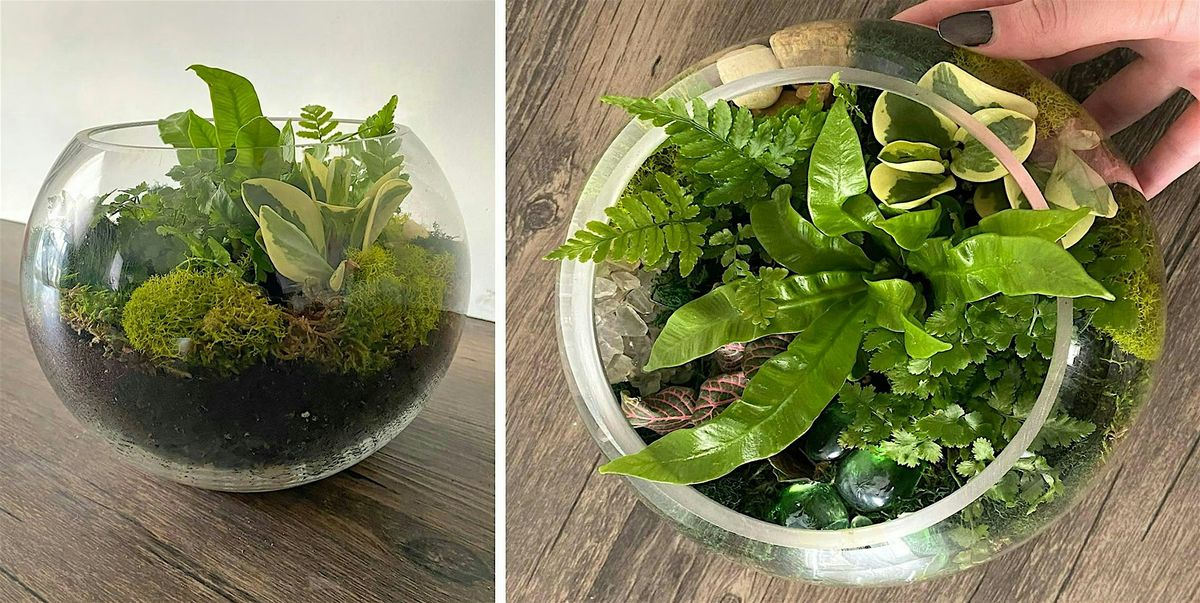 Make-n-Take : Terrariums at Mahoney's Concord