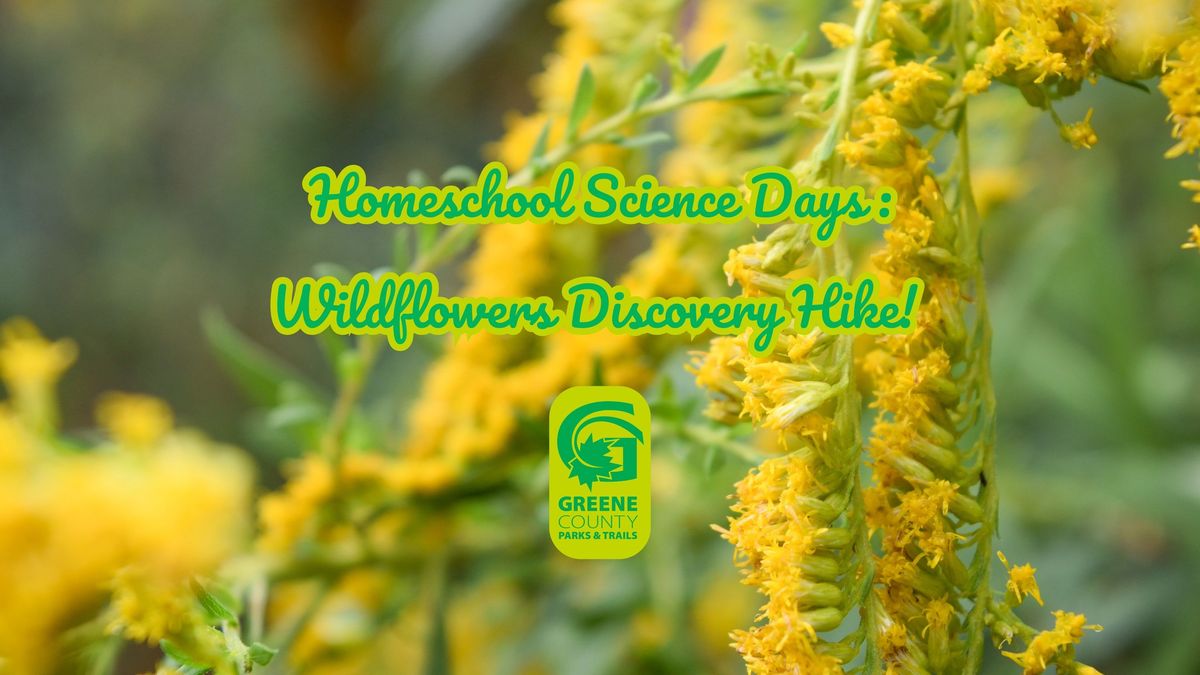 Homeschool Science Days: Wildflower Discovery Hike