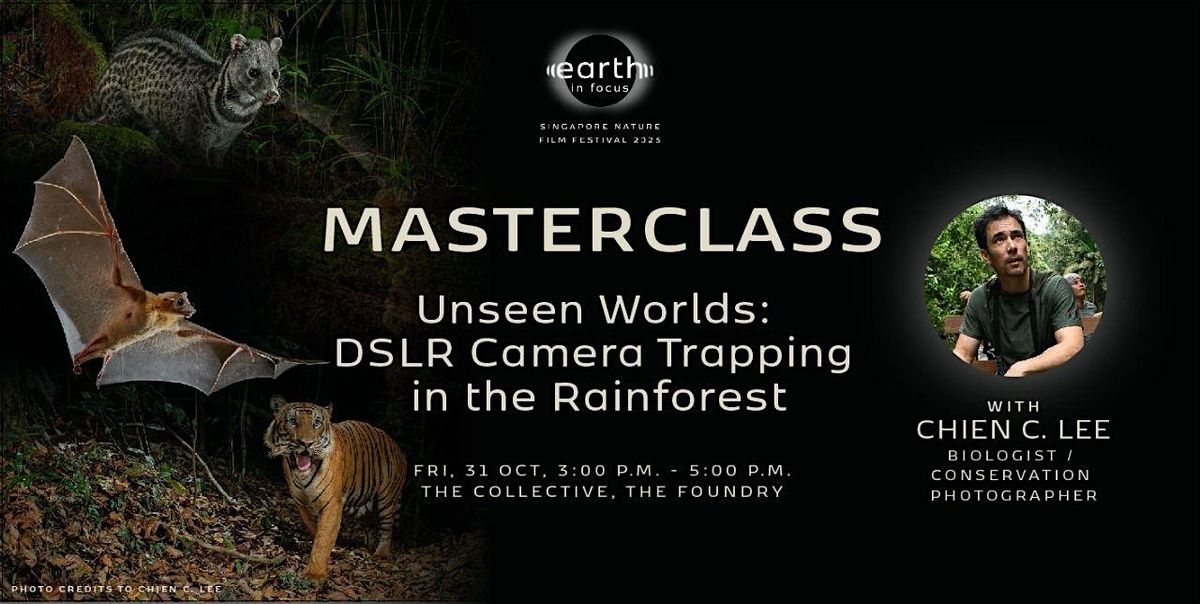 Unseen Worlds: DSLR Camera Trapping in the Rainforest