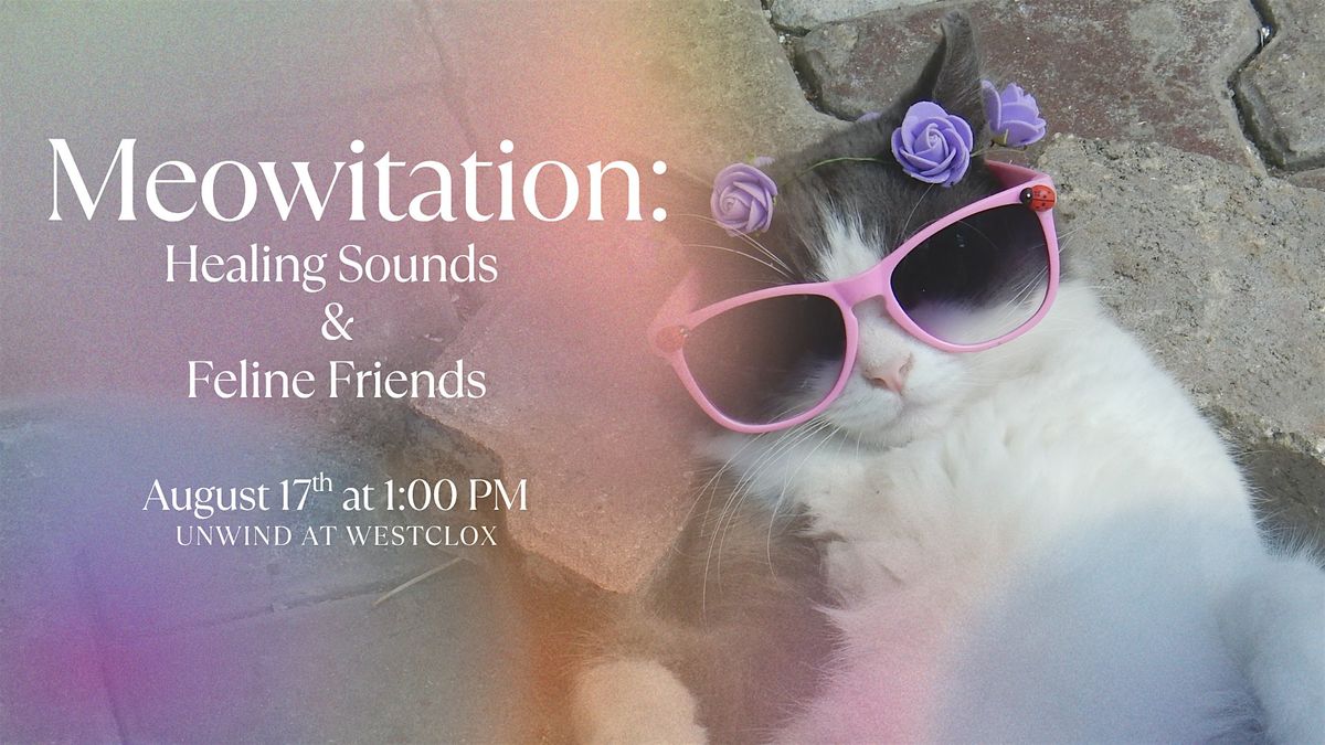 Meowitation: Healing Sounds & Feline Friends