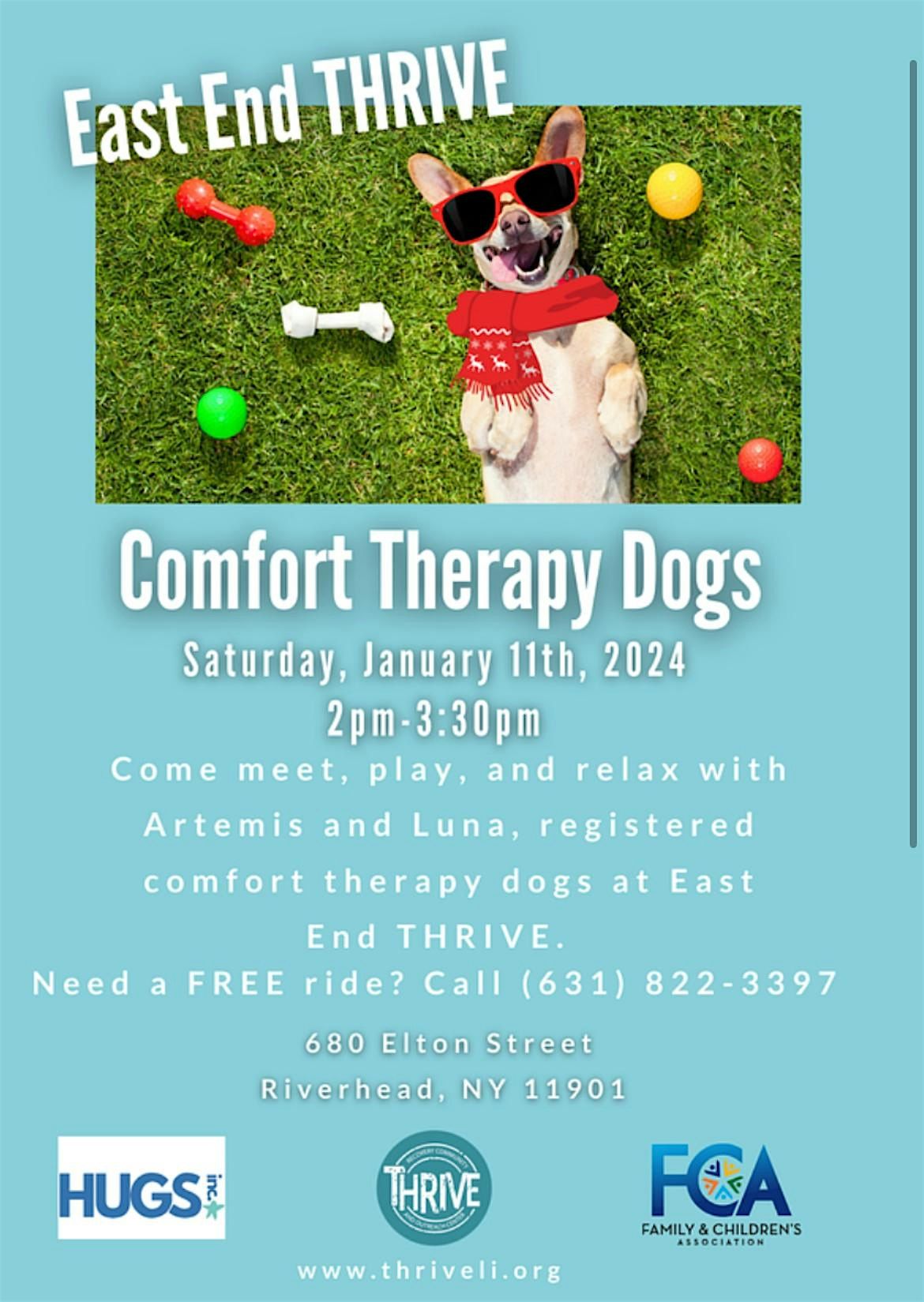 Comfort Therapy Dogs