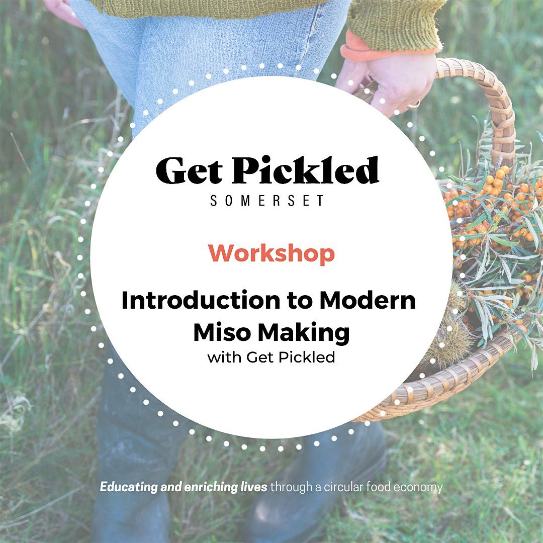 Introduction to Modern Miso Making