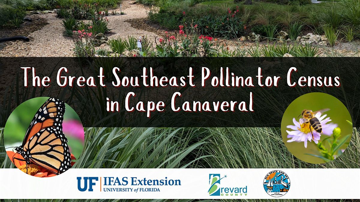 The Great Southeast Pollinator Census in Cape Canaveral