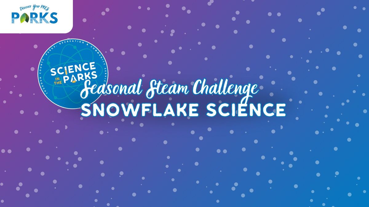 Seasonal Steam Challenge - Snowflake Science