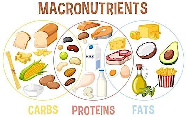 Macros: What are they and should I be tracking them?