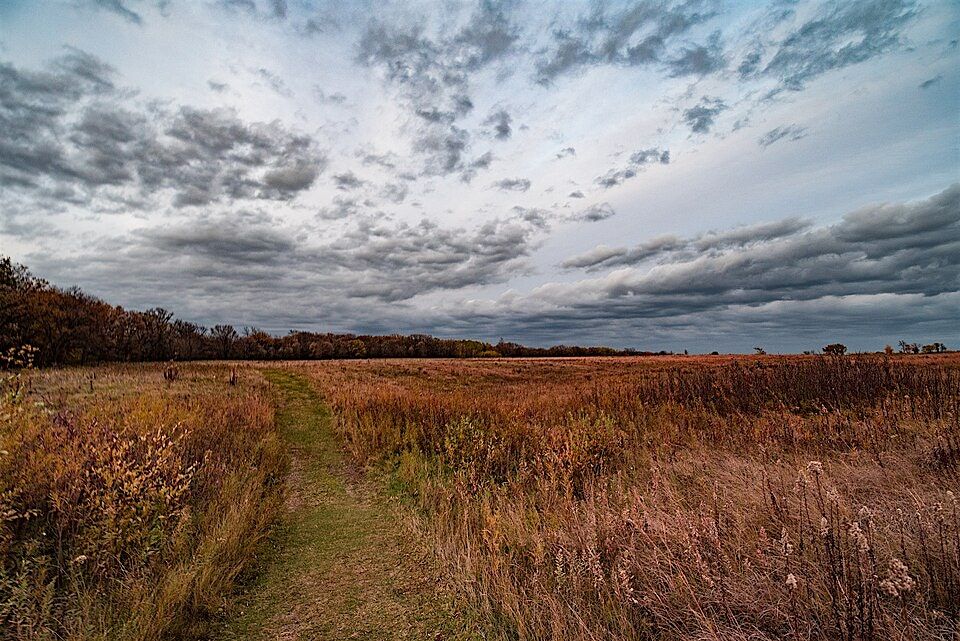 Learn about winter birding and hiking with Dakota County Parks!