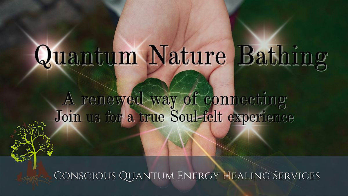 Fall Nature Bathing Walk & Meditation