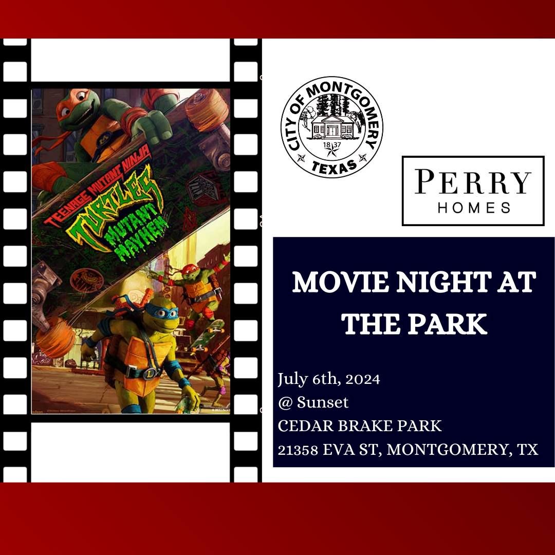 Movie Night at the Park 