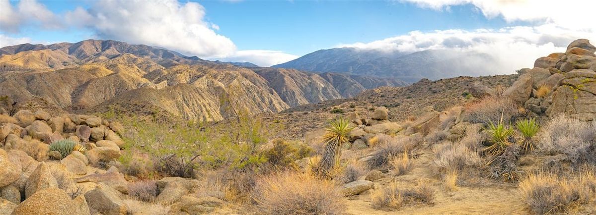 Palm Springs Chapter - San Jacinto National Monument Paint\/Sculpt-Out