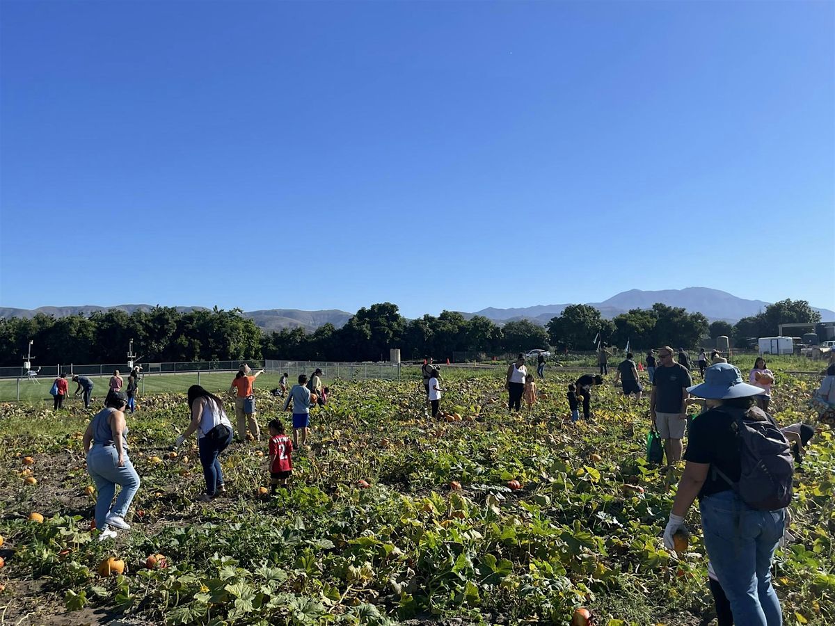Urban Ag\/Gardening Expo and Pumpkin U-Pick