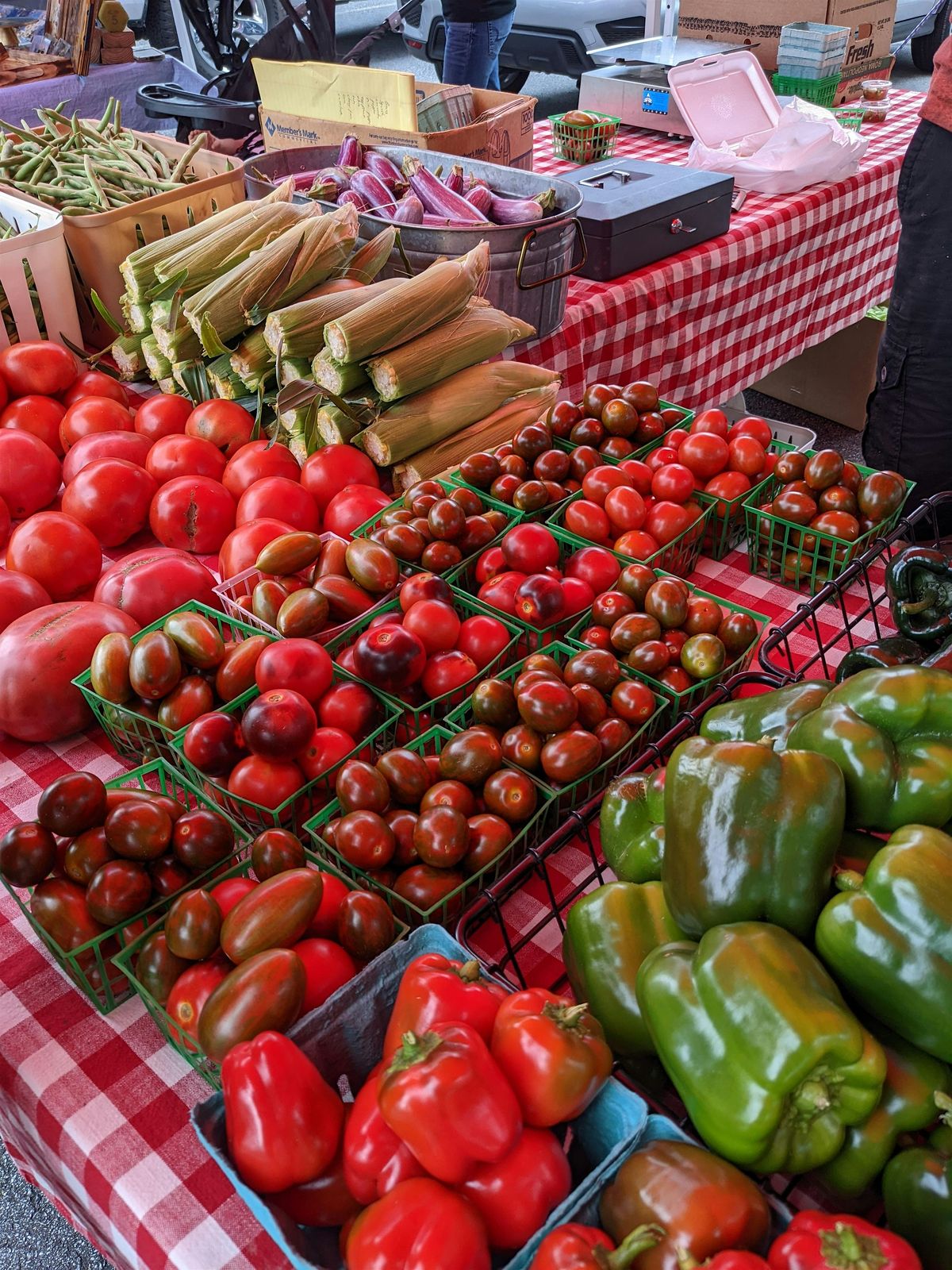 57TH ANNUAL WINTER VEGETABLE CONFERENCE