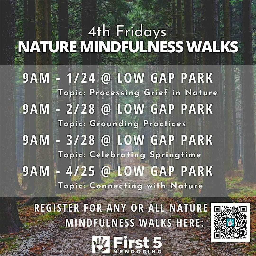 Nature Mindfulness Walks