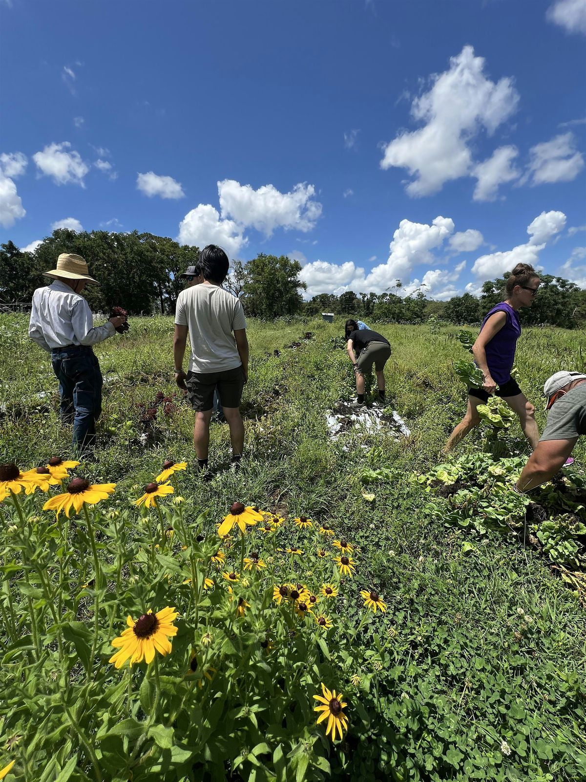 Class at the Farm: Gardening Organically, 6-Class Series