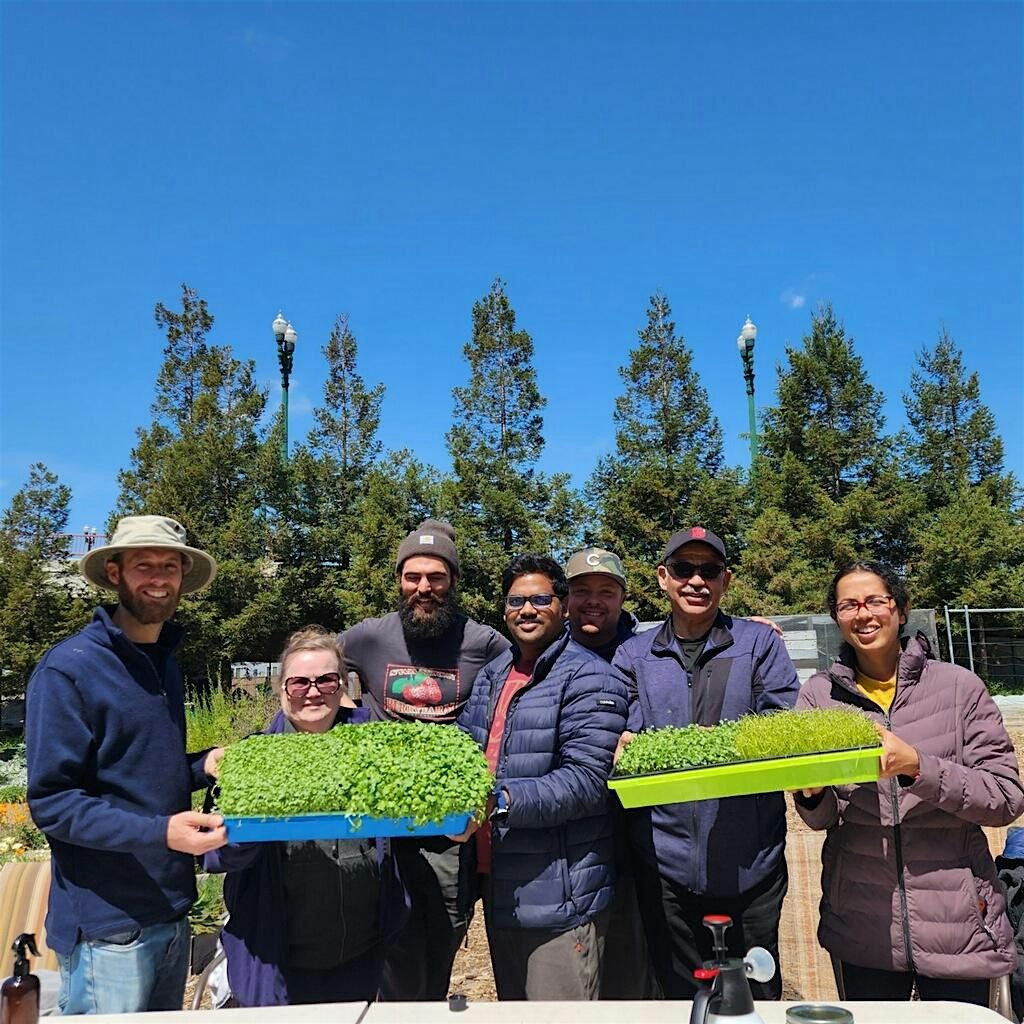 Learn  to Grow Microgreens